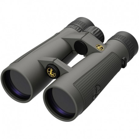 Prismático LEUPOLD BX-5 Santiam HD - 10x50