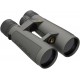 Prismático LEUPOLD BX-5 Santiam HD - 10x50